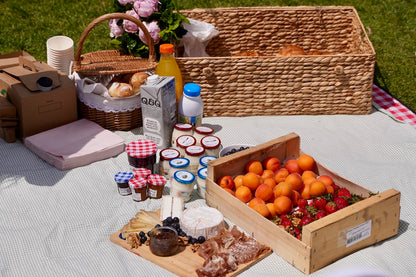 Yoga Picnic - Miami