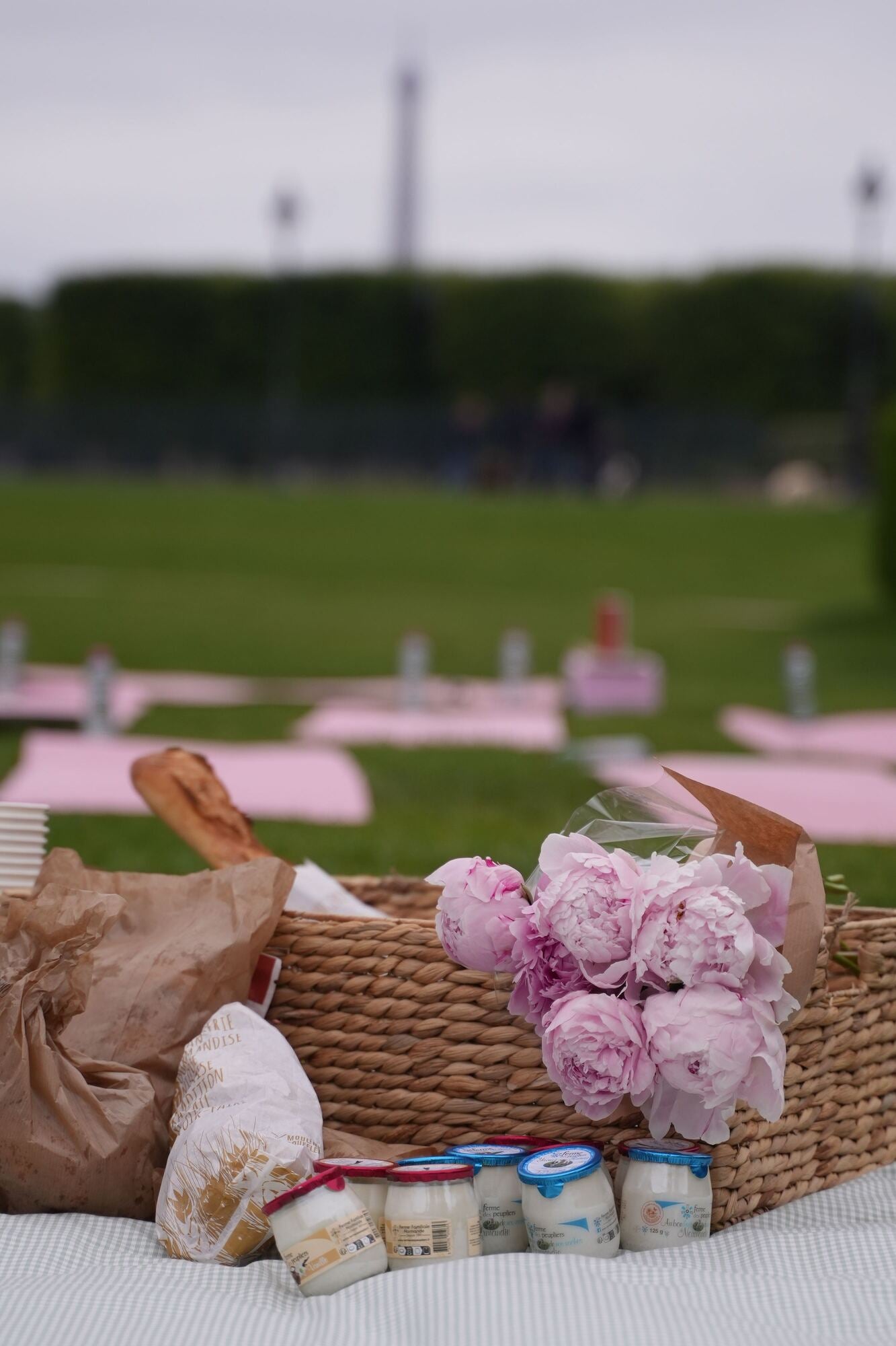 Yoga Picnic - Paris, 22nd June 2025